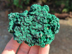 Natural Silky Malachite Specimens x 6 From Kasompe, Congo