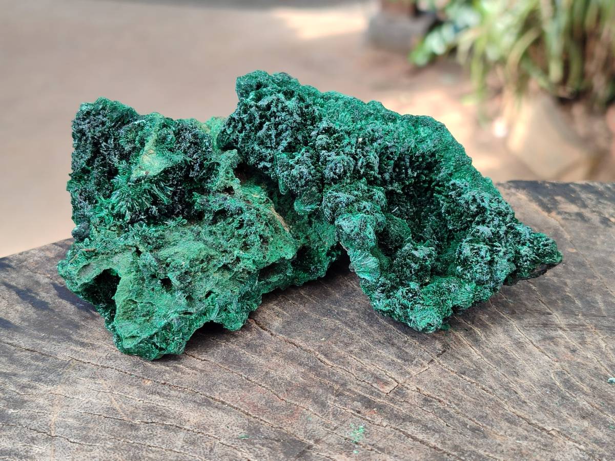 Natural Silky Malachite Specimens x 6 From Kasompe, Congo