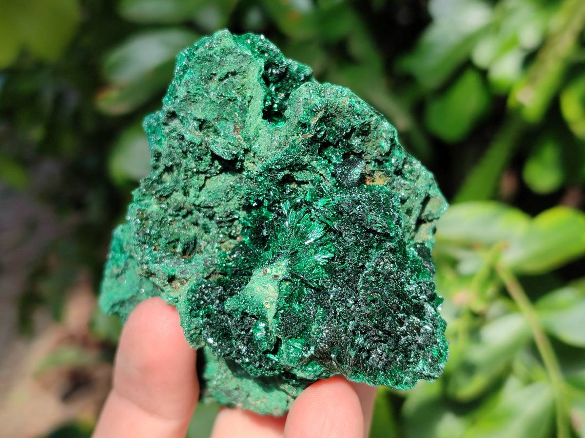 Natural Silky Malachite Specimens x 6 From Kasompe, Congo