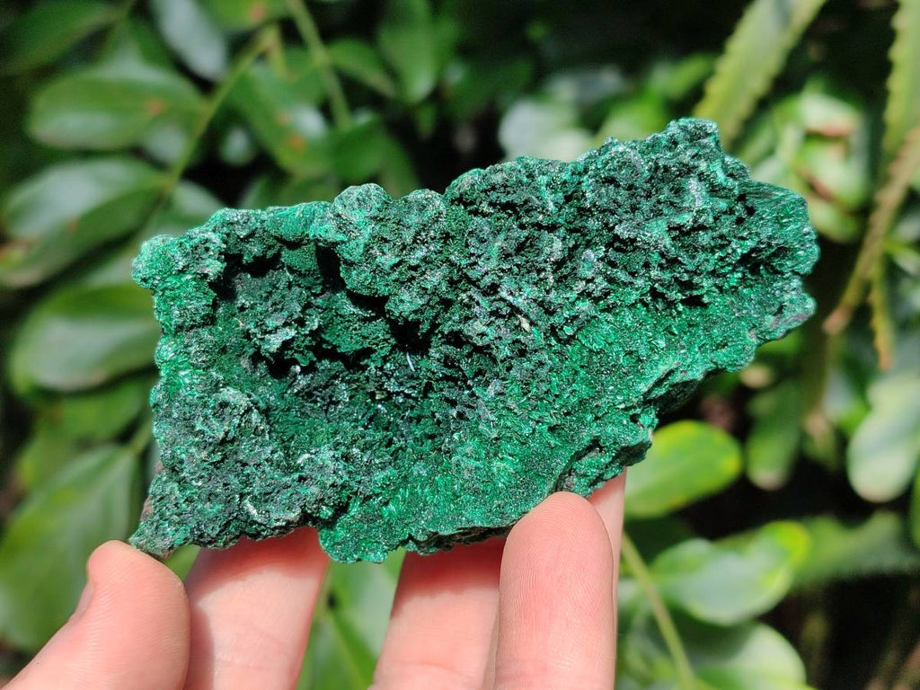 Natural Silky Malachite Specimens x 6 From Kasompe, Congo