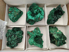 Natural Silky Malachite Specimens x 6 From Kasompe, Congo