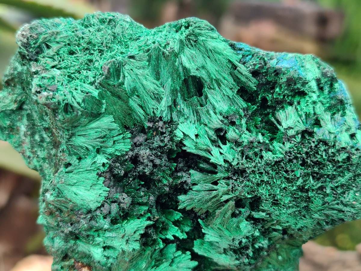 Natural Silky Malachite Specimens x 6 From Kasompe, Congo