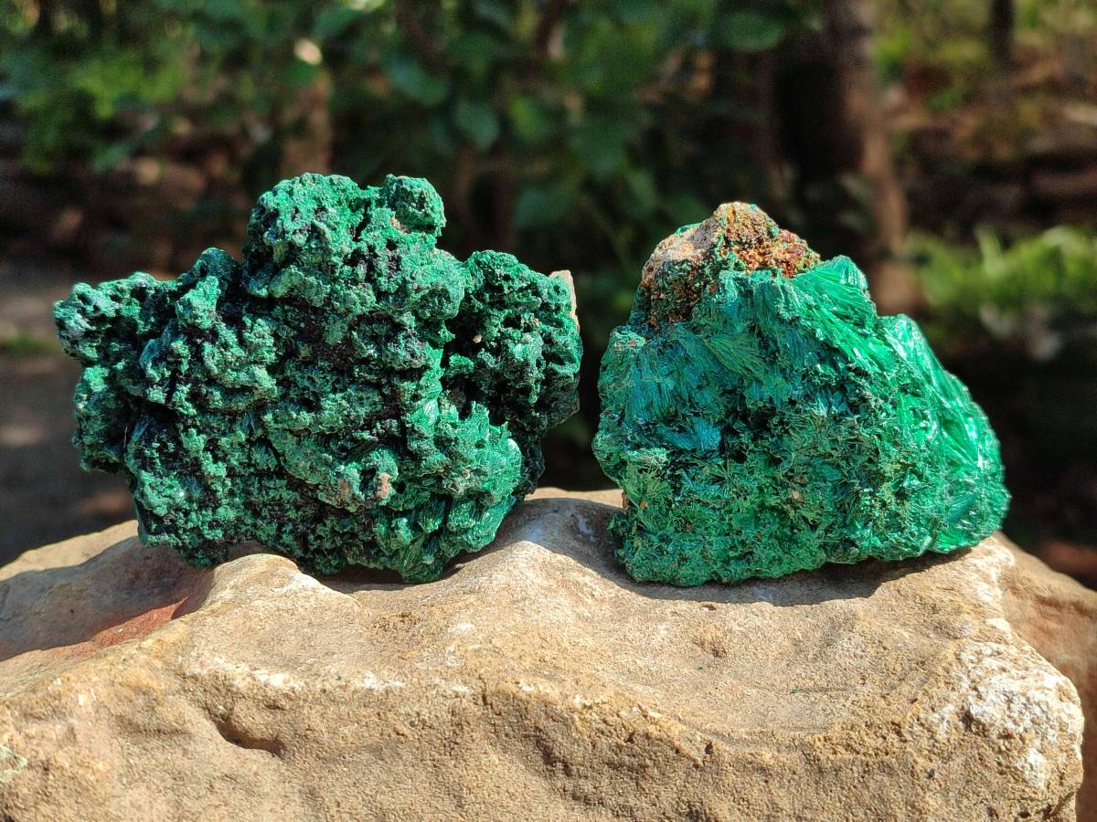 Natural Silky Malachite Specimens x 6 From Kasompe, Congo