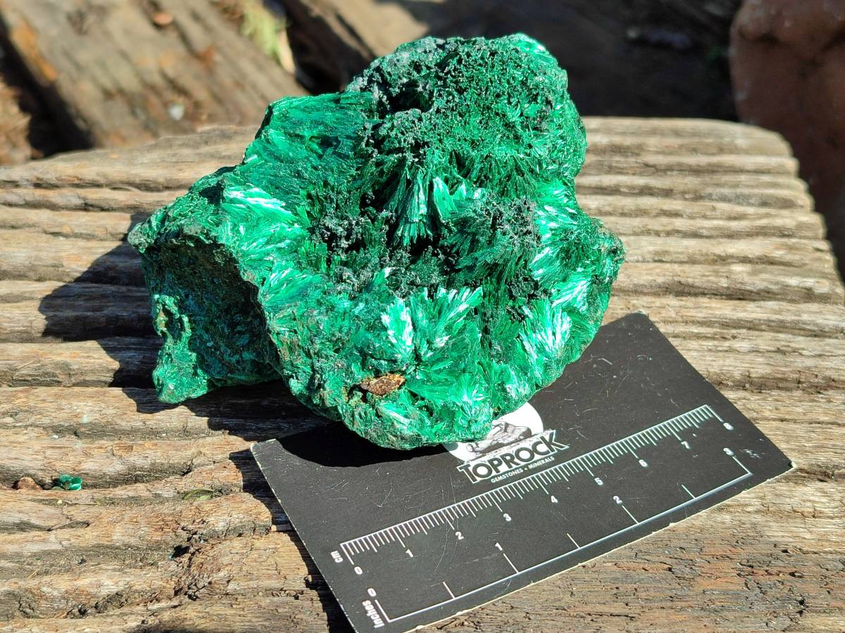 Natural Silky Malachite Specimens x 6 From Kasompe, Congo