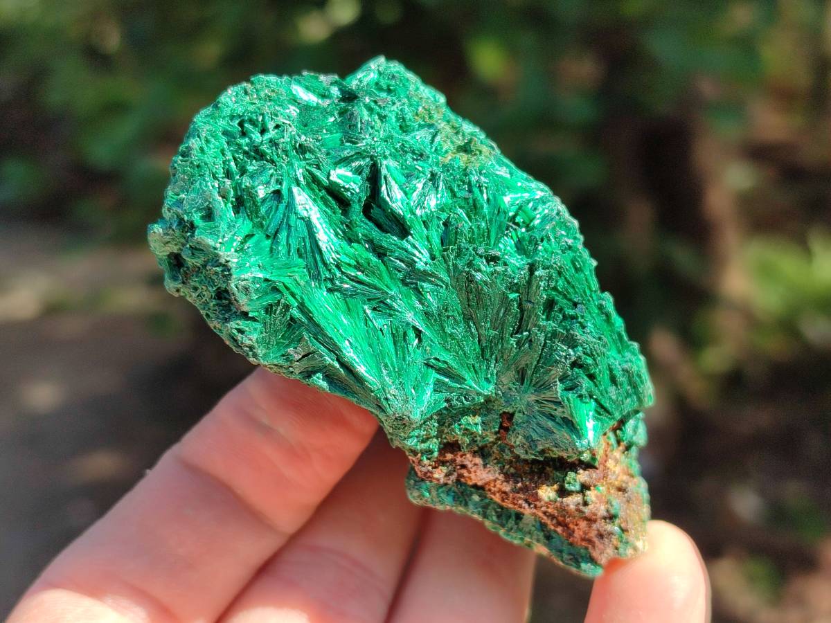 Natural Silky Malachite Specimens x 6 From Kasompe, Congo