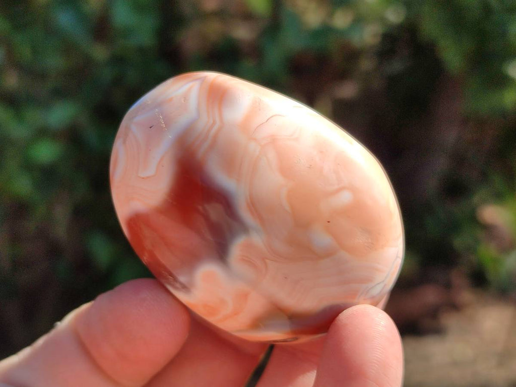Polished Carnelian Agate Gemstone Galets x 20 From Madagascar