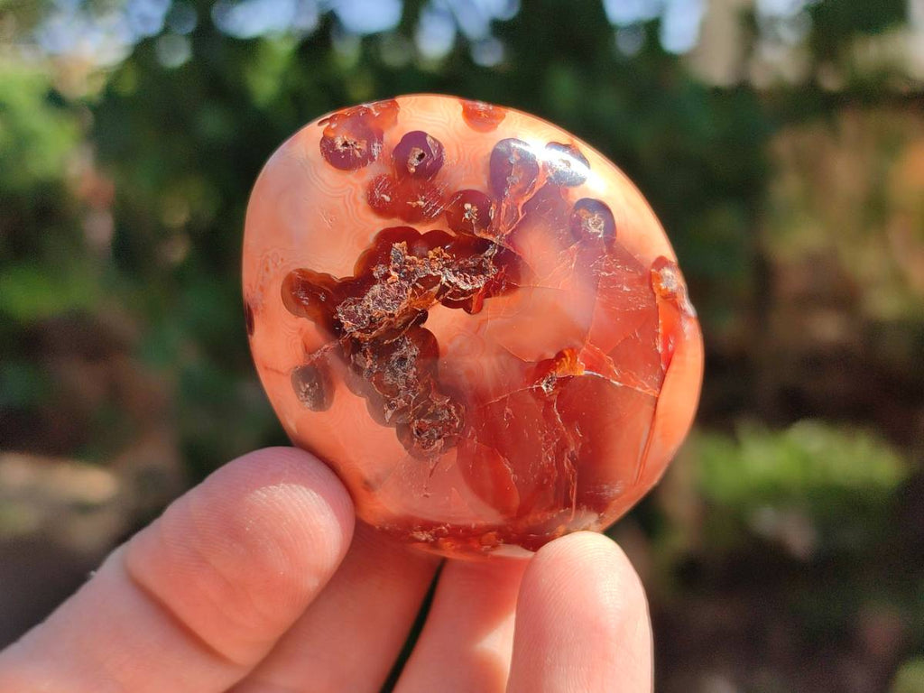 Polished Carnelian Agate Gemstone Galets x 20 From Madagascar