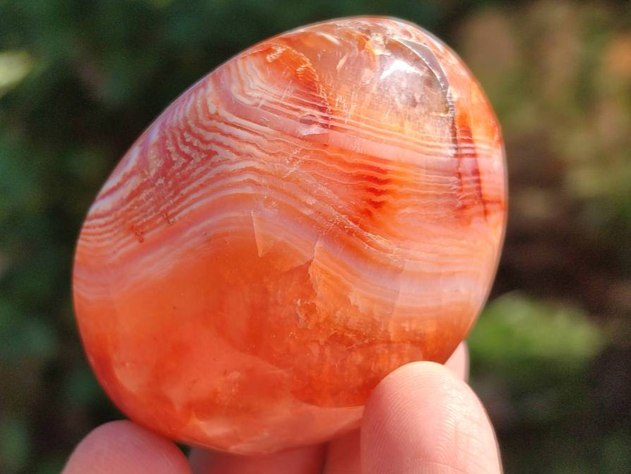 Polished Carnelian Agate Gemstone Galets x 20 From Madagascar