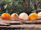 Polished Carnelian Agate Gemstone Galets x 20 From Madagascar