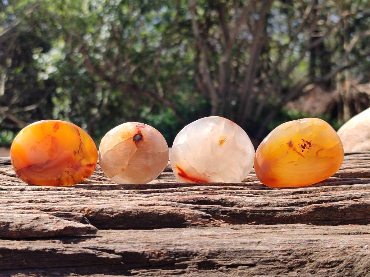 Polished Carnelian Agate Gemstone Galets x 20 From Madagascar