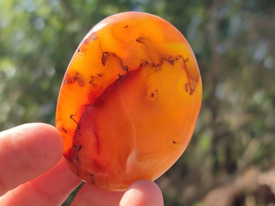Polished Carnelian Agate Gemstone Galets x 20 From Madagascar