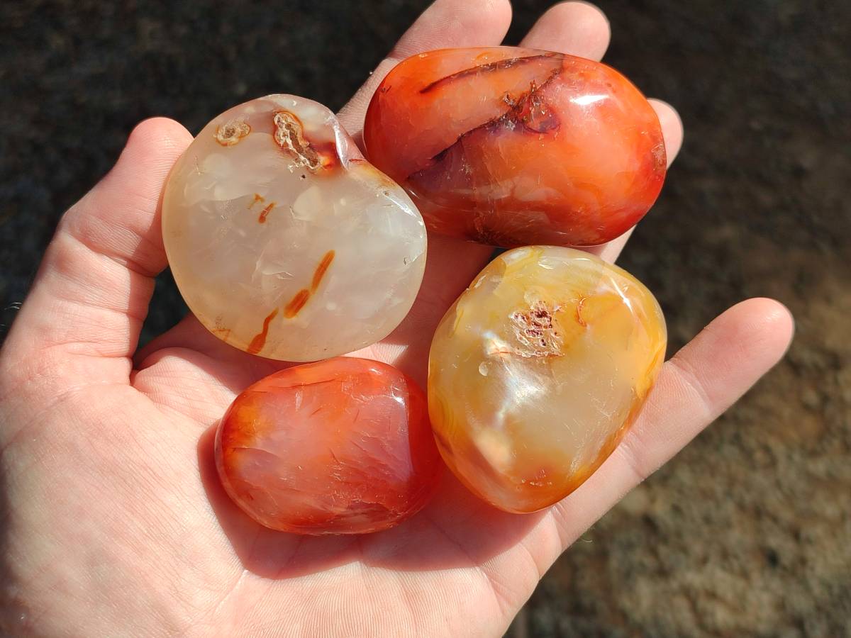Polished Carnelian Agate Gemstone Galets x 20 From Madagascar