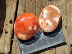 Polished Carnelian Agate Gemstone Galets x 20 From Madagascar