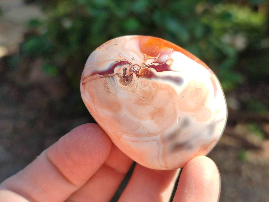 Polished Carnelian Agate Gemstone Galets x 20 From Madagascar