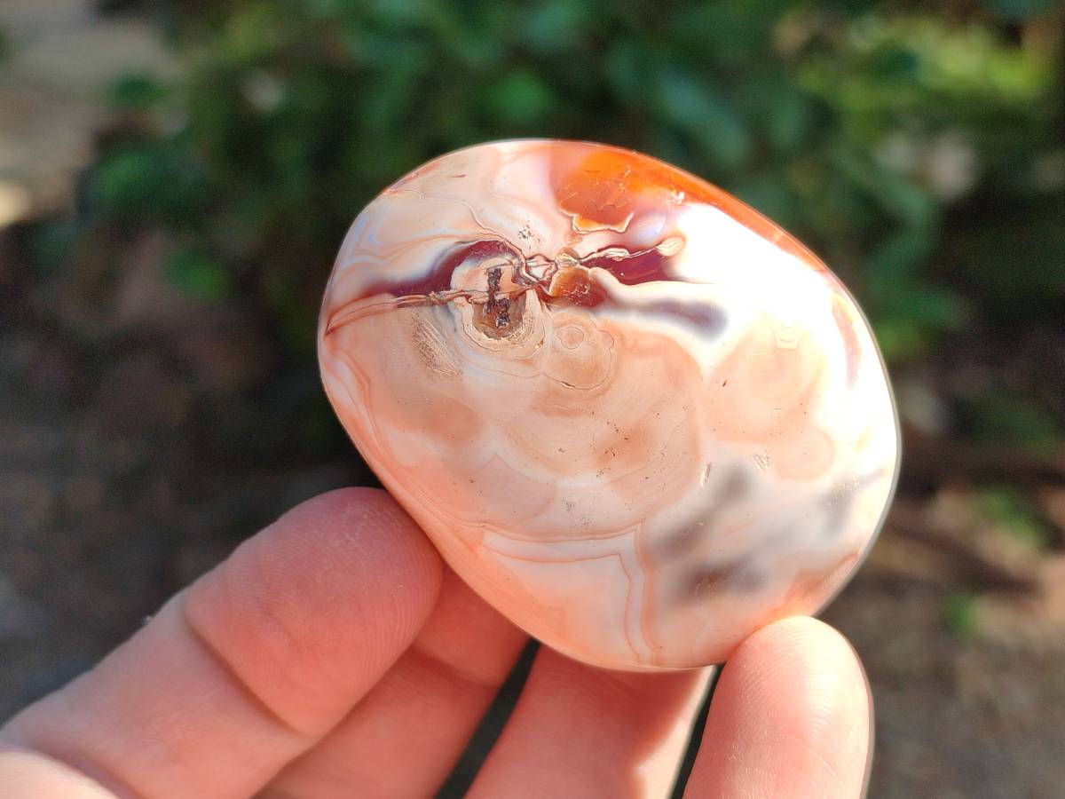 Polished Carnelian Agate Gemstone Galets x 20 From Madagascar
