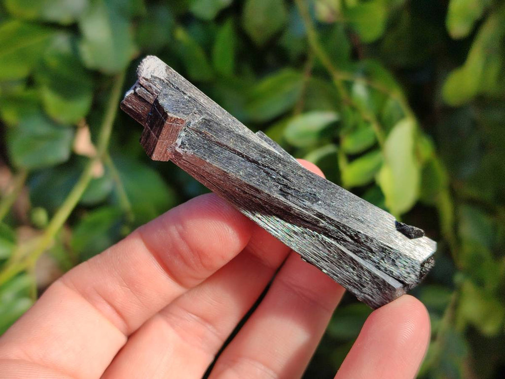 Natural Schorl Black Tourmaline Specimens x 6 From Erongo, Namibia