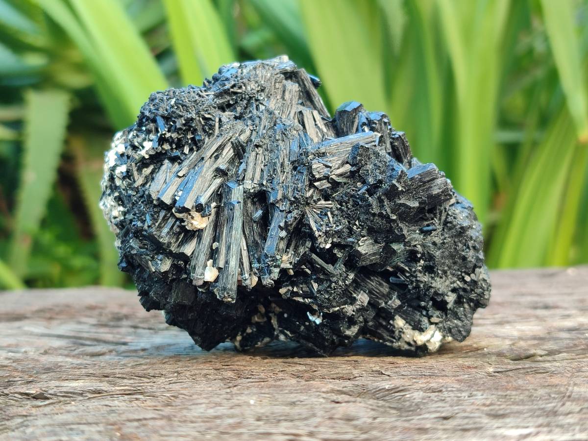 Natural Schorl Black Tourmaline Specimens x 6 From Erongo, Namibia