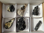 Natural Schorl Black Tourmaline Specimens x 6 From Erongo, Namibia