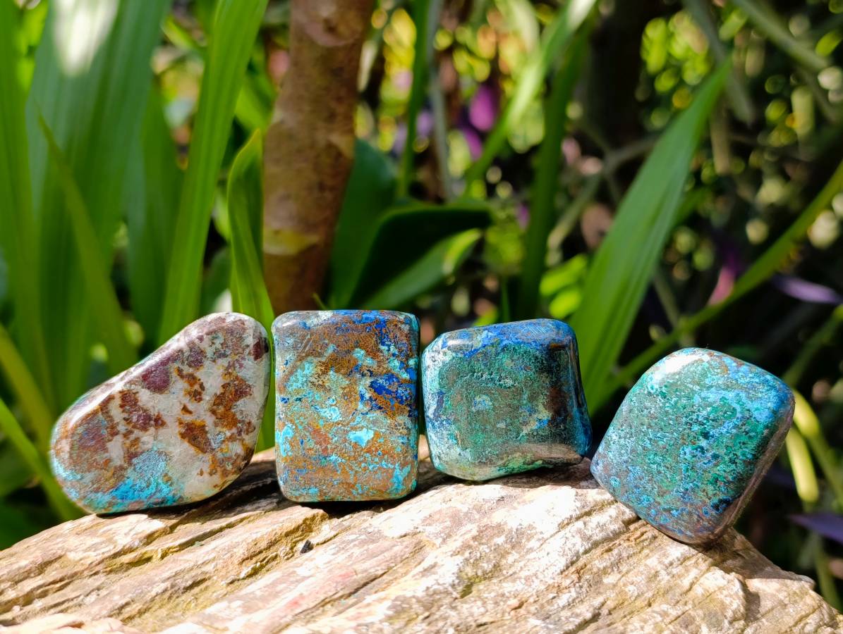 Polished Shattuckite Free Forms x 20 From Congo