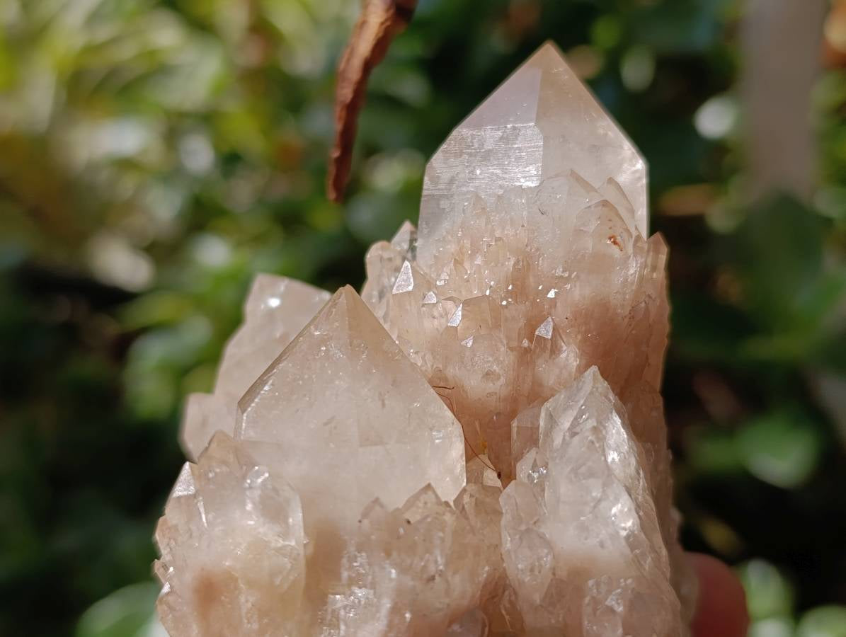 Natural Small Smokey Phantom Quartz Clusters x 3 From Luena, Congo