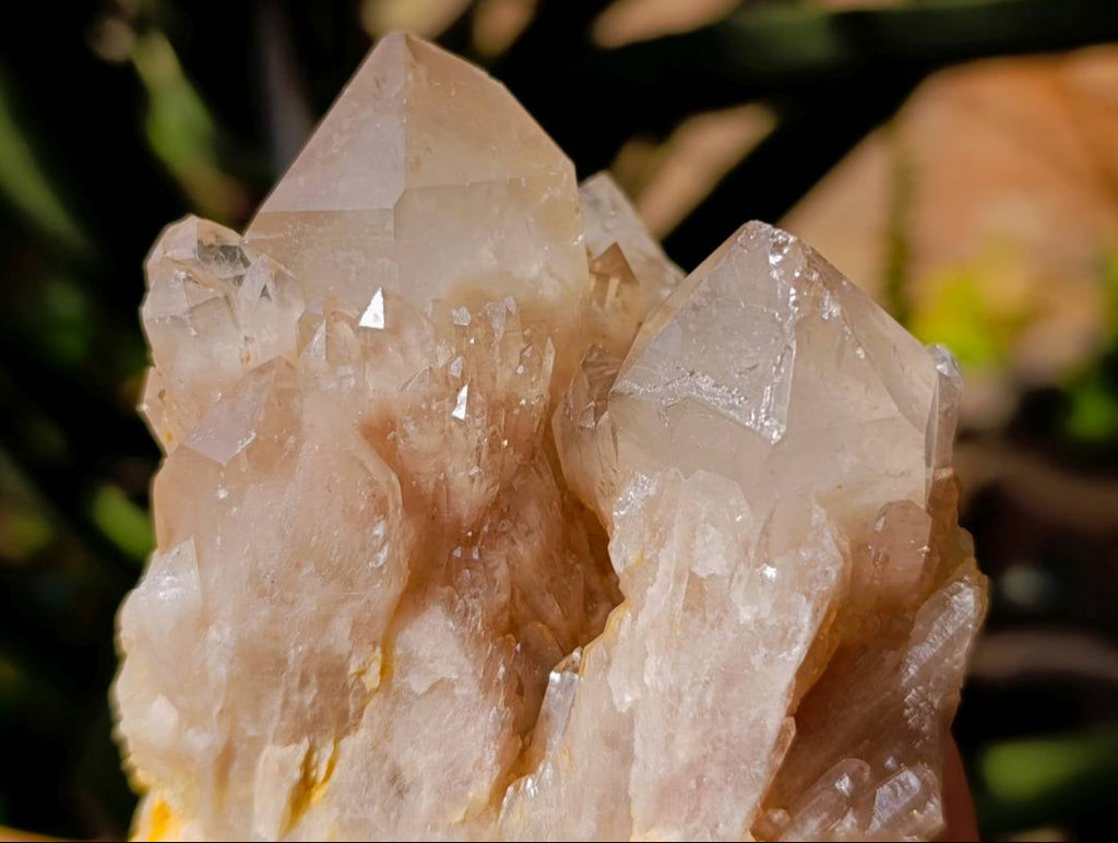 Natural Small Smokey Phantom Quartz Clusters x 3 From Luena, Congo