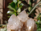 Natural Small Smokey Phantom Quartz Clusters x 3 From Luena, Congo