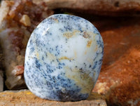 Polished Dendritic Opal Standing Free Forms x 6 From Moralambo, Madagascar