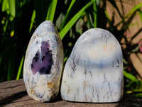 Polished Dendritic Opal Standing Free Forms x 6 From Moralambo, Madagascar