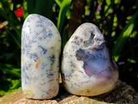 Polished Dendritic Opal Standing Free Forms x 6 From Moralambo, Madagascar