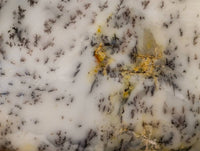 Polished Dendritic Opal Standing Free Forms x 6 From Moralambo, Madagascar