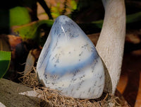 Polished Dendritic Opal Standing Free Forms x 6 From Moralambo, Madagascar