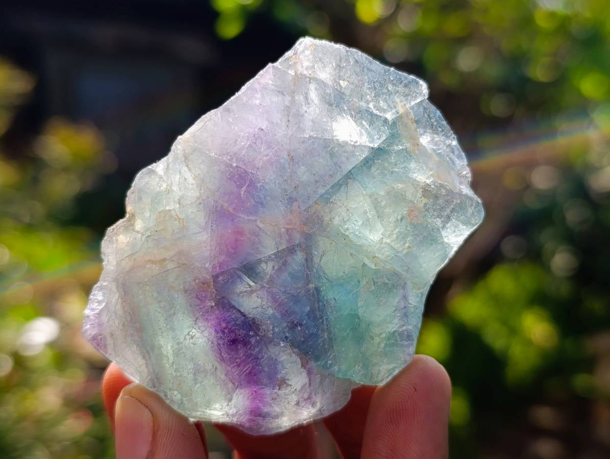 Natural Watermelon Fluorite Cobbed Specimens x 67 From Uis, Namibia