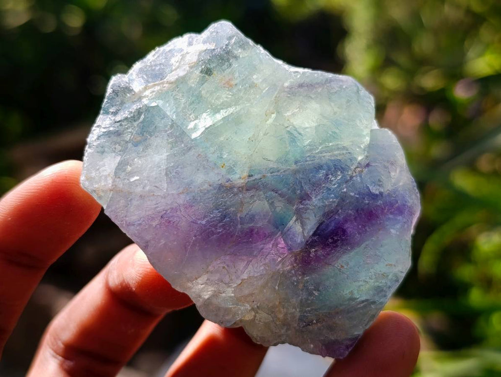 Natural Watermelon Fluorite Cobbed Specimens x 67 From Uis, Namibia