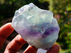 Natural Watermelon Fluorite Cobbed Specimens x 67 From Uis, Namibia