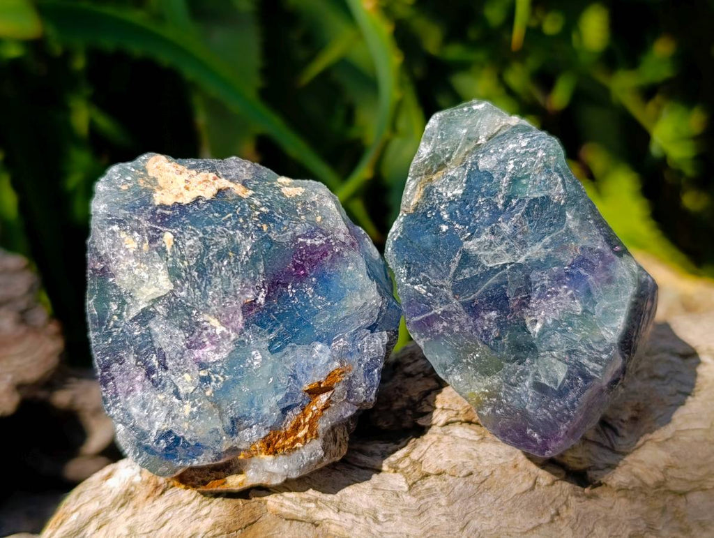 Natural Watermelon Fluorite Cobbed Specimens x 67 From Uis, Namibia