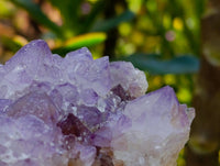 Natural Sunburst Amethyst Spirit Clusters x 3 From Boekenhouthoek, South Africa