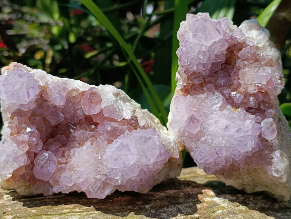 Sunburst Rocks Natural Sunburst Amethyst Spirit Clusters x 3 From Boekenhouthoek, Sou ...