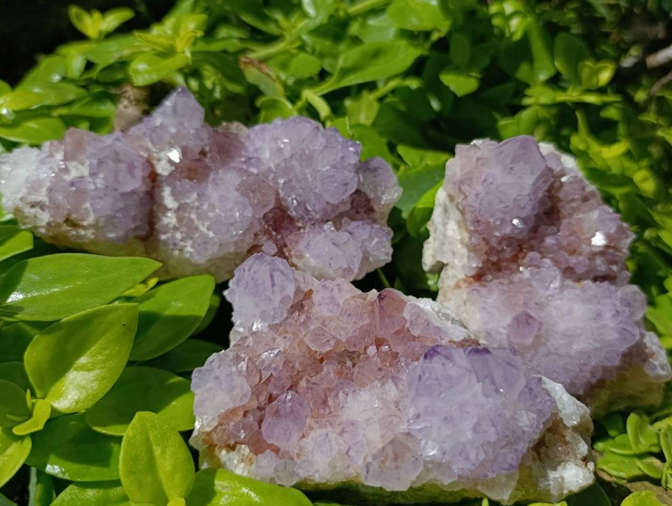 Natural Sunburst Amethyst Spirit Clusters x 3 From Boekenhouthoek, South Africa
