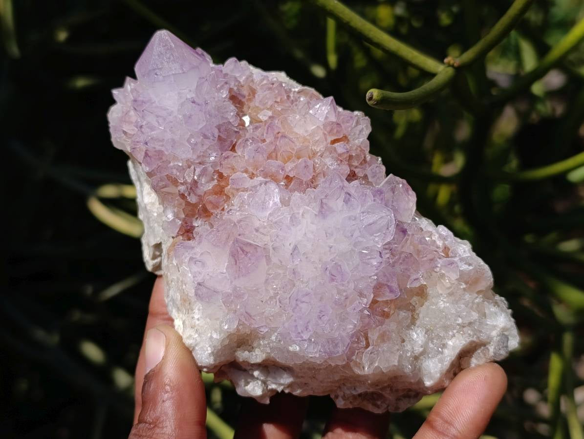 Natural Sunburst Amethyst Spirit Clusters x 3 From Boekenhouthoek, South Africa