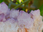 Natural Sunburst Amethyst Spirit Clusters x 3 From Boekenhouthoek, South Africa
