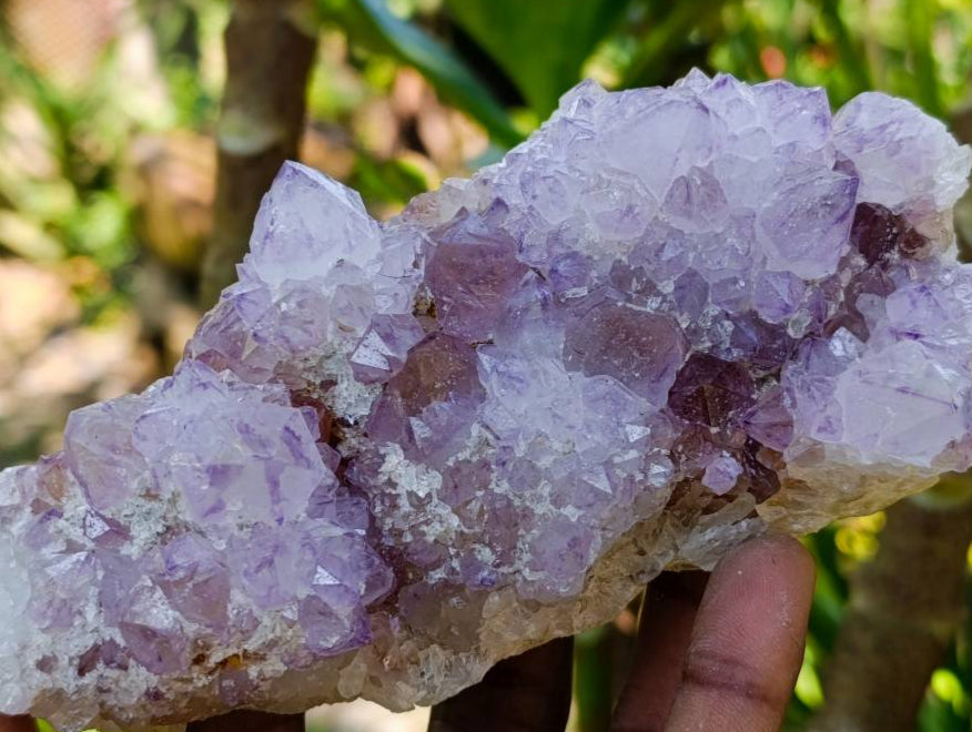 Natural Sunburst Amethyst Spirit Clusters x 3 From Boekenhouthoek, South Africa
