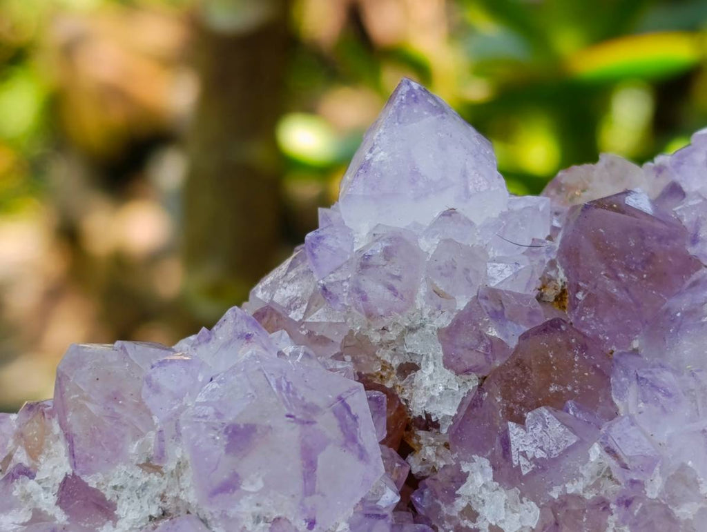 Natural Sunburst Amethyst Spirit Clusters x 3 From Boekenhouthoek, South Africa