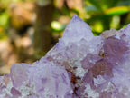 Natural Sunburst Amethyst Spirit Clusters x 3 From Boekenhouthoek, South Africa