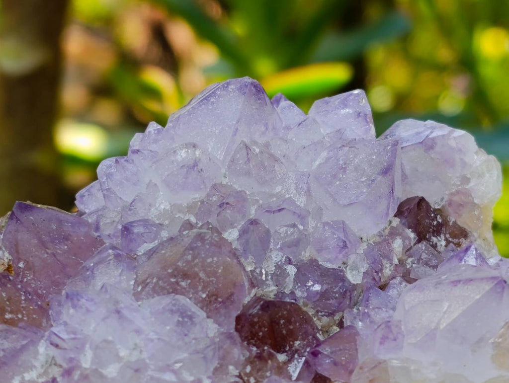 Natural Sunburst Amethyst Spirit Clusters x 3 From Boekenhouthoek, South Africa