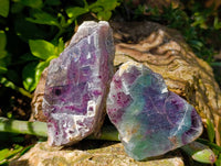 Polished On One Side Watermelon Fluorite Slices x 6 From Uis, Namibia