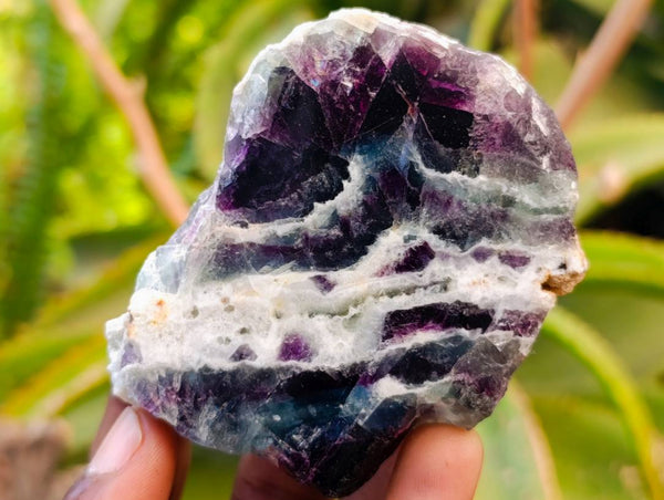 Polished On One Side Watermelon Fluorite Slices x 6 From Uis, Namibia