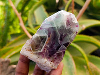Polished On One Side Watermelon Fluorite Slices x 6 From Uis, Namibia