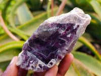 Polished On One Side Watermelon Fluorite Slices x 6 From Uis, Namibia
