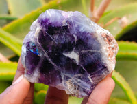 Polished On One Side Watermelon Fluorite Slices x 6 From Uis, Namibia