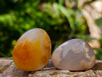 Polished Small Flower Agate Free Forms x 49 From Antsahalova, Madagascar